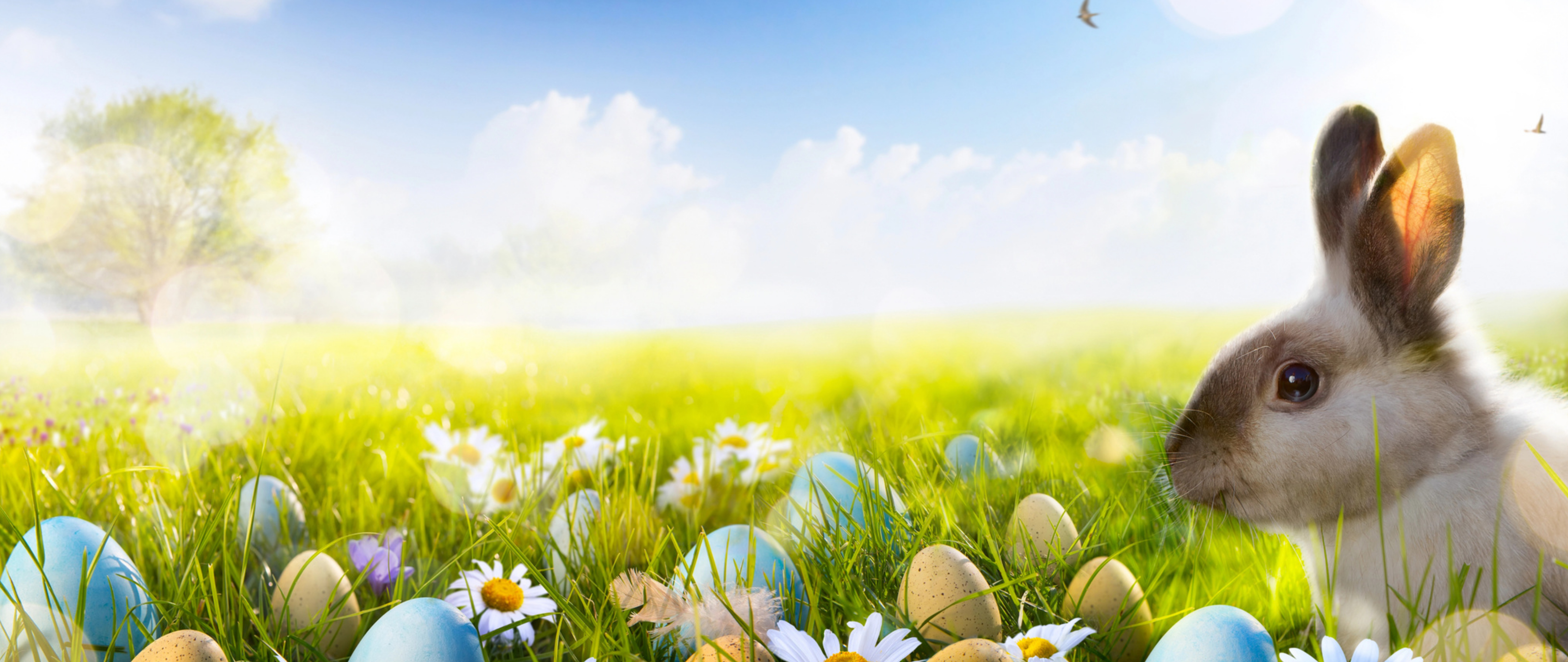 Frohe Ostern
